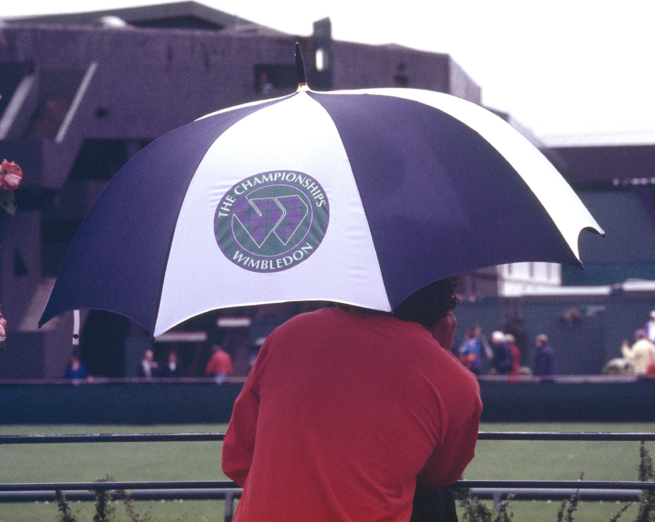 ウィンブルドン